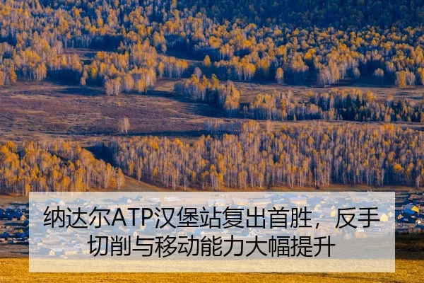 na-da-er-han-bao-zhan-fu-chu-shou-sheng-fan-shou-qie-xiao-yu-yi-dong-neng-li-da-fu-ti-sheng-2-541.jpg