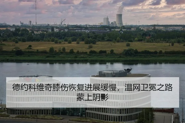 de-yue-ke-wei-qi-xi-shang-hui-fu-jin-zhan-huan-man-wen-wang-wei-mian-zhi-lu-meng-shang-yin-ying-2-930.jpg